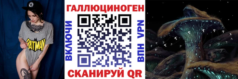 kraken tor  Красный Кут  Псилоцибиновые грибы ЛСД 